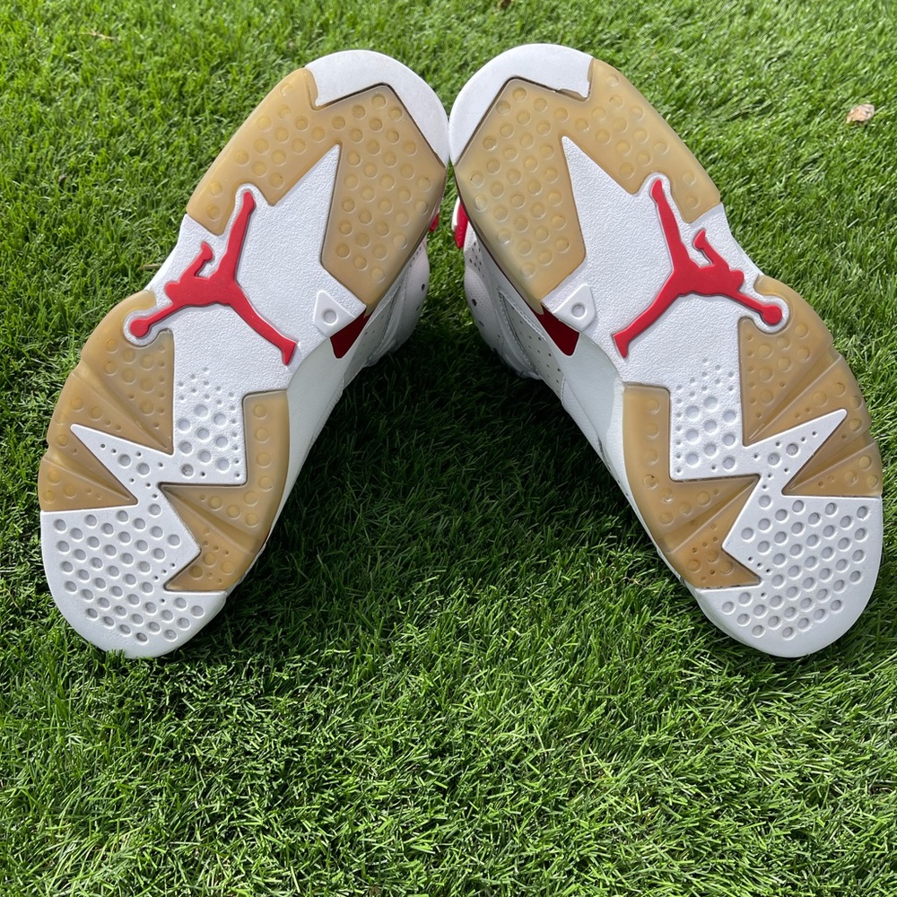 Jordan 6 Alternate